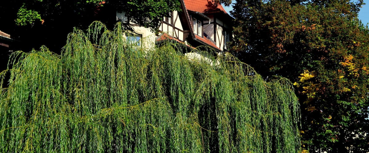 Haus am Harfenacker 9, 04179 Leipzig