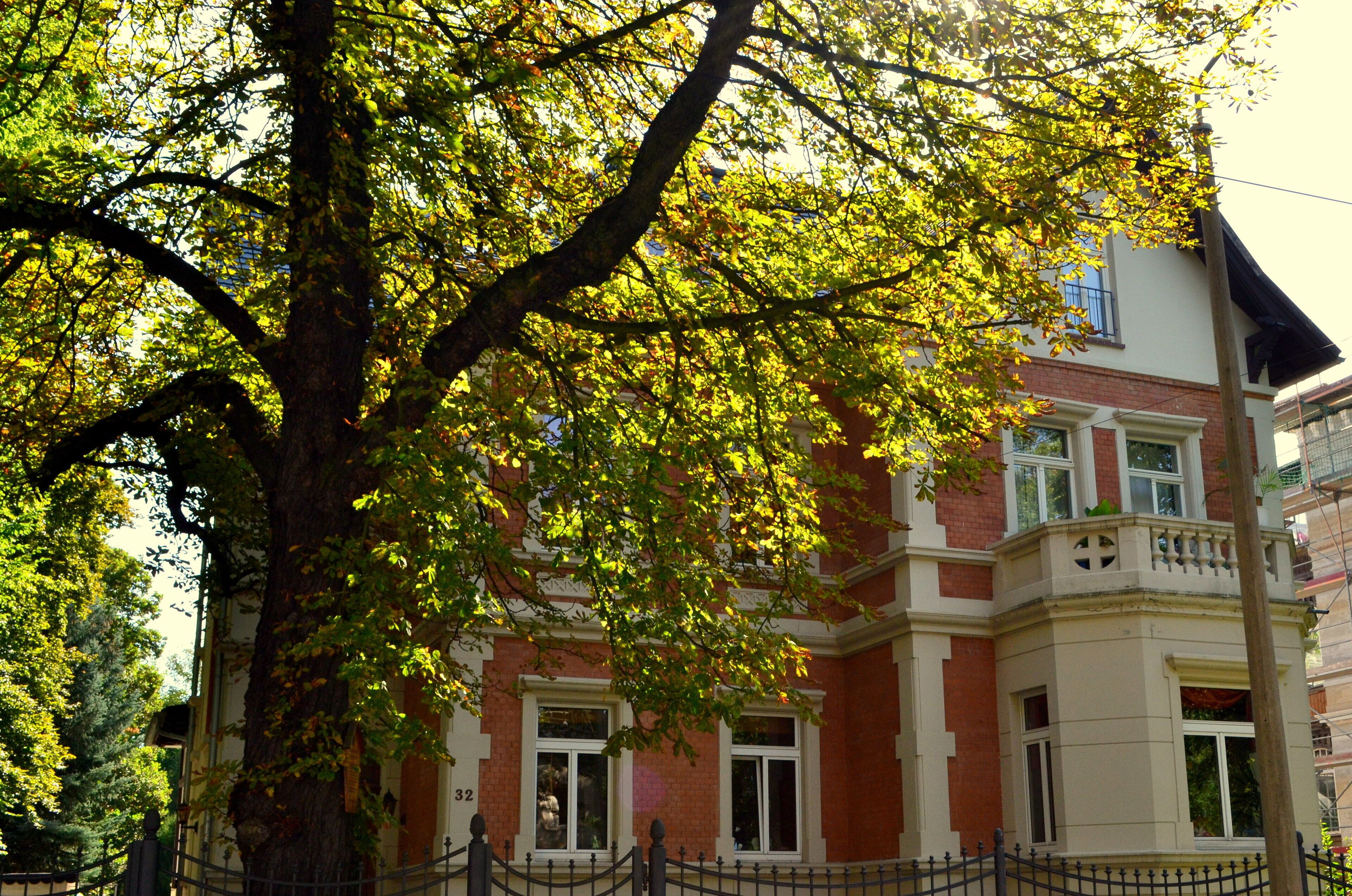 Haus in der Rathenaustraße 32, 04179 Leipzig