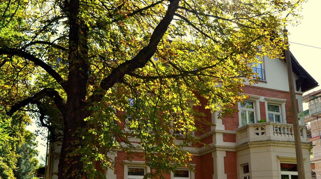 Haus in der Rathenaustraße 32, 04179 Leipzig