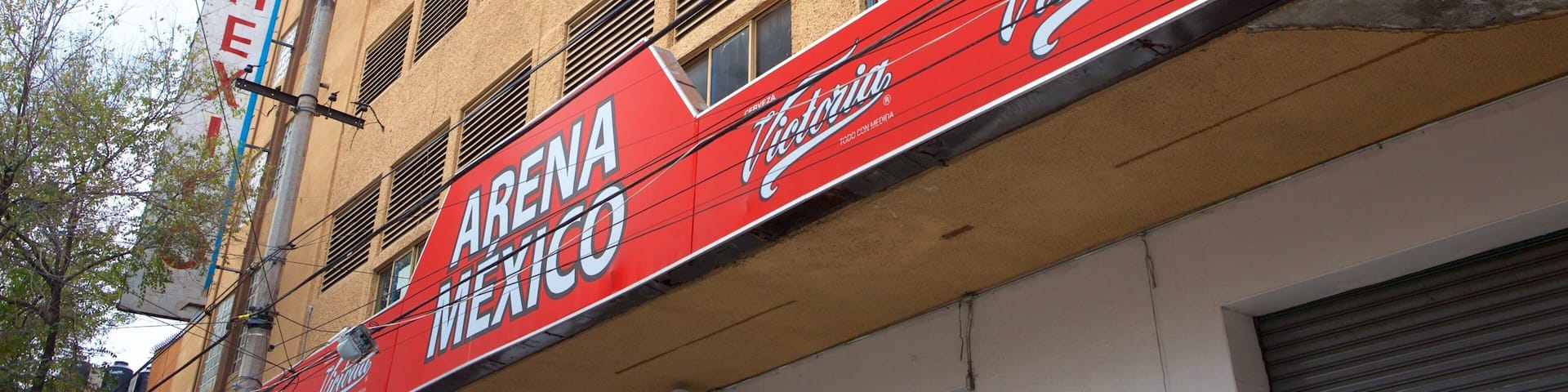 Arena Mexico featuring signage