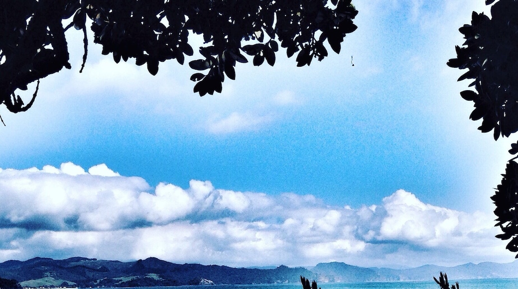 Deserted beach in Matarangi, New Zealand 💎
#blue #Matarangi #NewZealand #Beach #Ocean