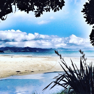 Deserted beach in Matarangi, New Zealand 💎
#blue #Matarangi #NewZealand #Beach #Ocean