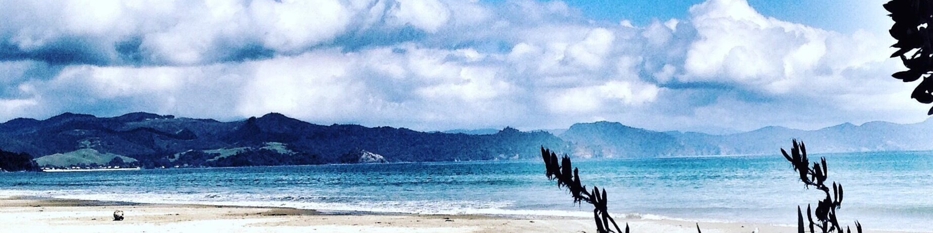 Deserted beach in Matarangi, New Zealand 💎
#blue #Matarangi #NewZealand #Beach #Ocean