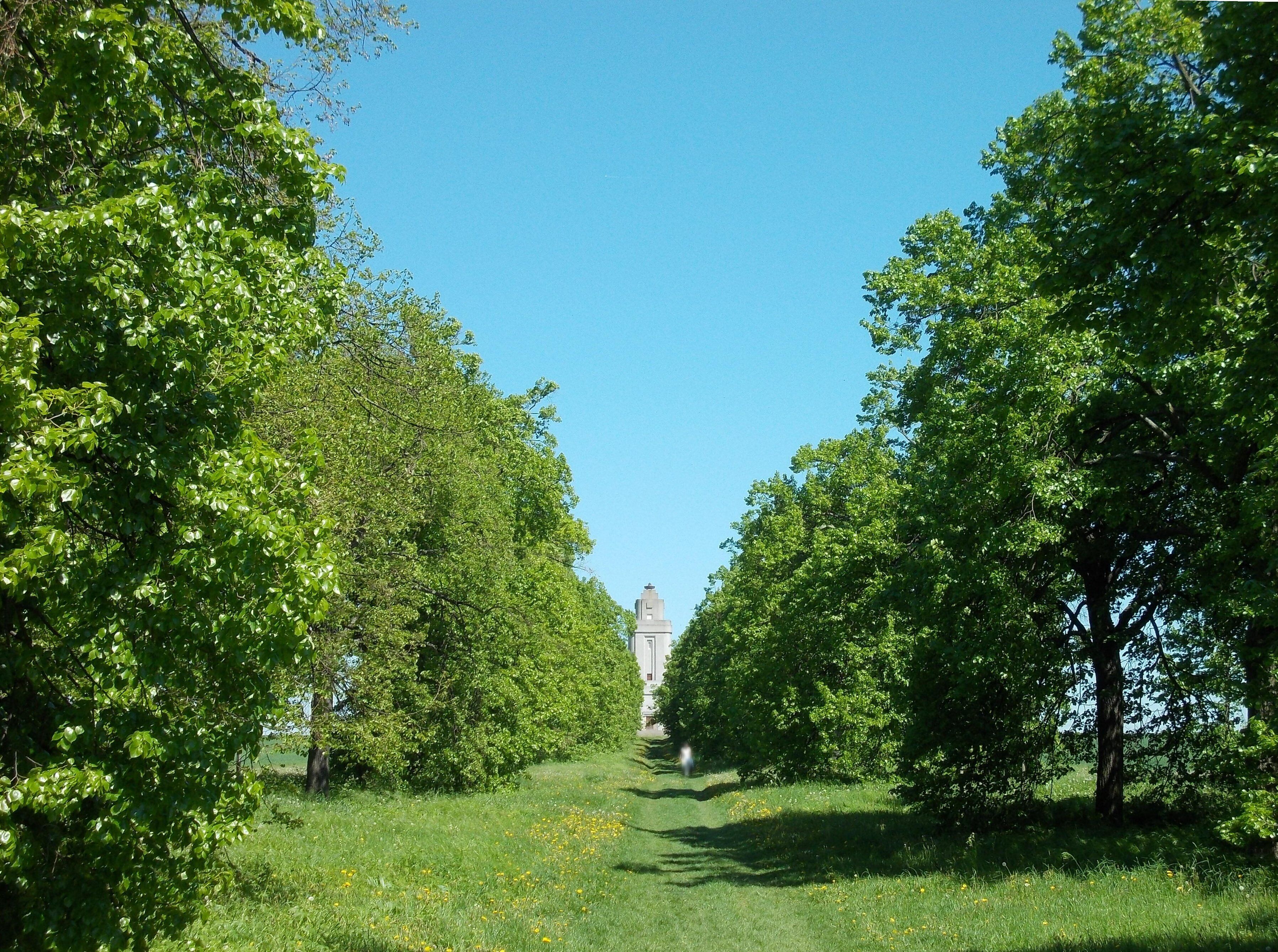 Crimean lime avenue leading to the Bismarck tower of Hänichen (Leipzig-Lützschena, Saxony)