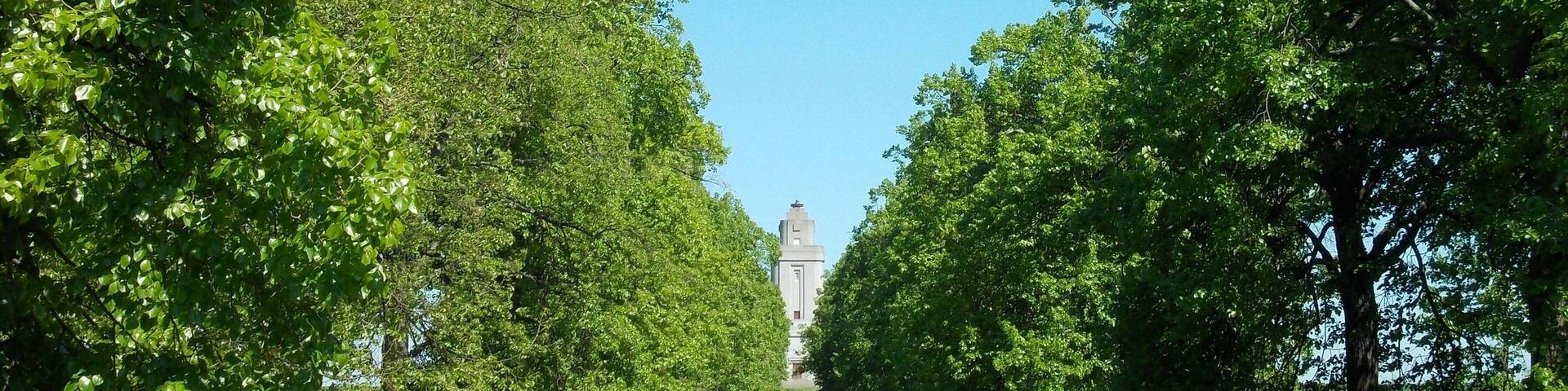 Crimean lime avenue leading to the Bismarck tower of Hänichen (Leipzig-Lützschena, Saxony)
