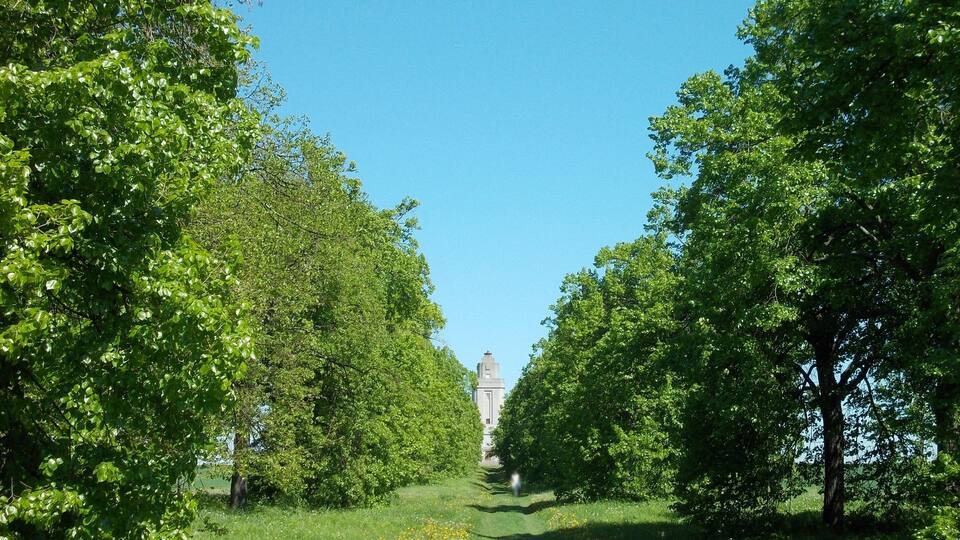 Ein von üppigen Grünbäumen gesäumter Weg, der zu einem weit entfernten Gebäude mit einem Turm führt.