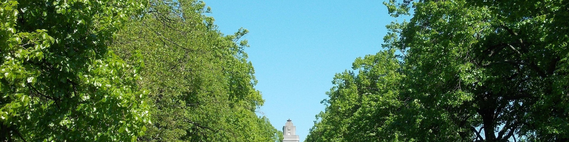 Crimean lime avenue leading to the Bismarck tower of Hänichen (Leipzig-Lützschena, Saxony)