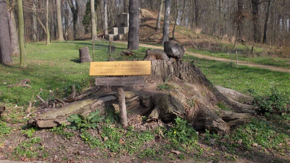 Ein hölzernes Schild an einem Baumstumpf in bewaldetem Gebiet.