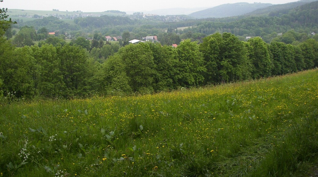 Blick nach Erdmannsdorf bei Augustusburg