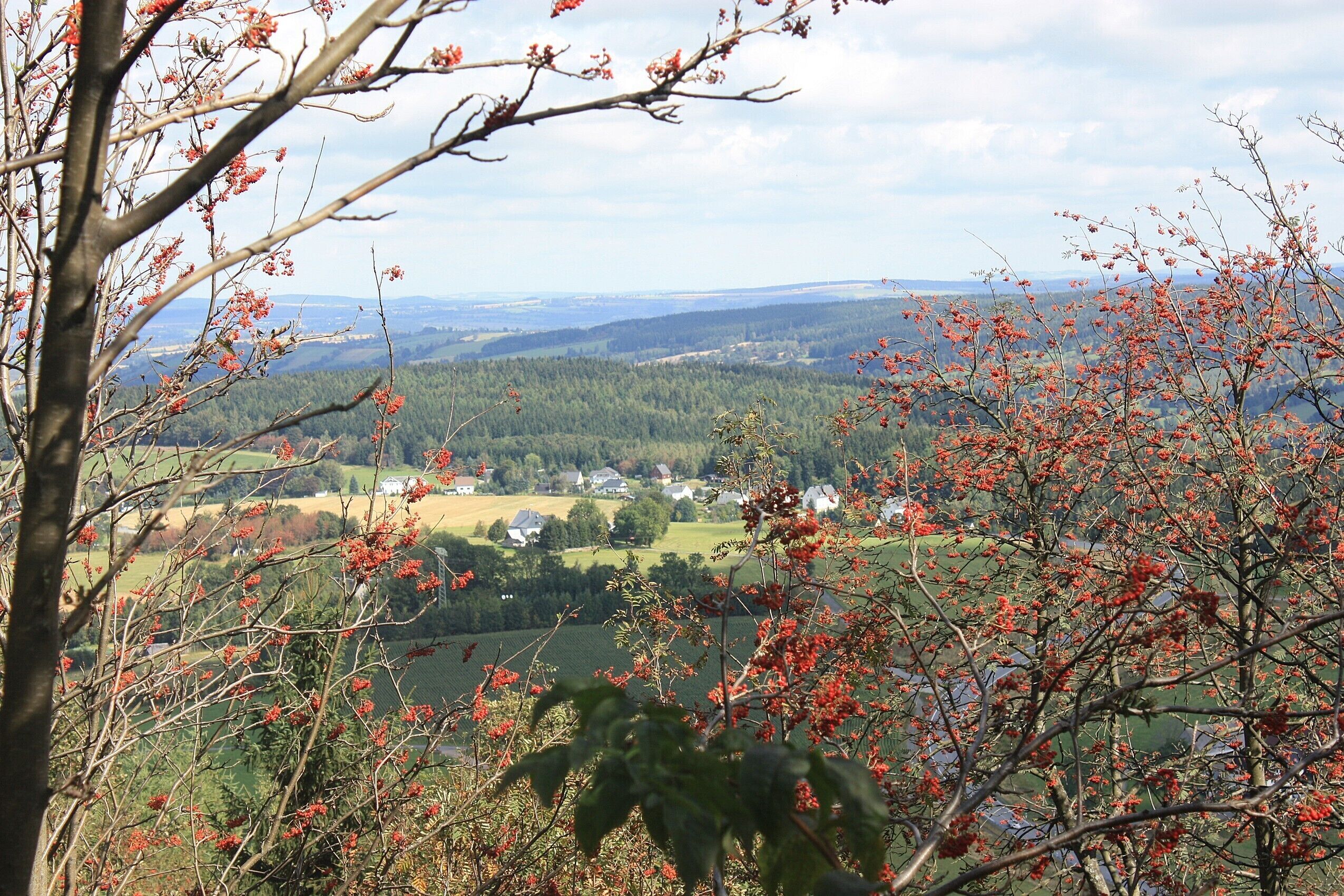 Bärenstein, view from Bärenstein to northeast, (Kühberg)