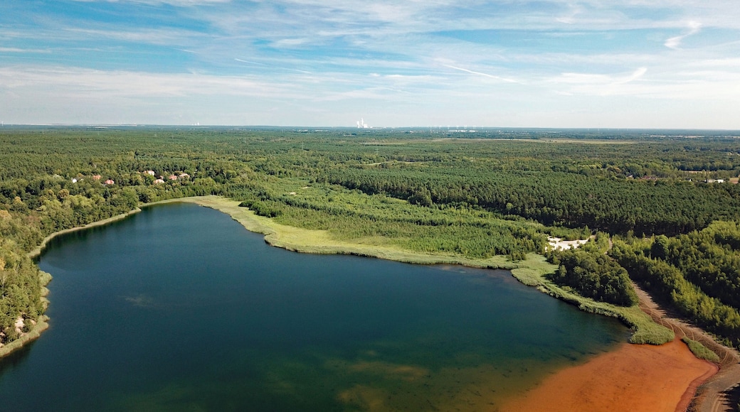 Zeißholz Clara III (Bernsdorf, Saxony, Germany)