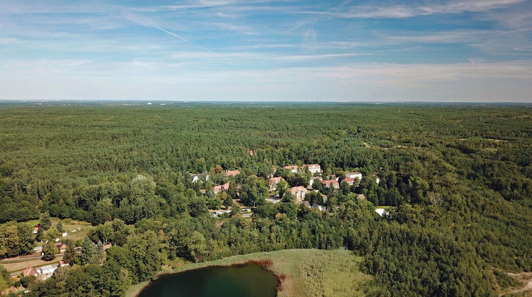 Zeißholz (Bernsdorf, Saxony, Germany)