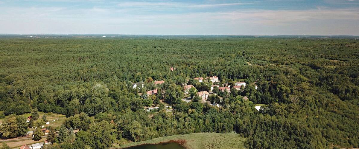 Zeißholz (Bernsdorf, Saxony, Germany)