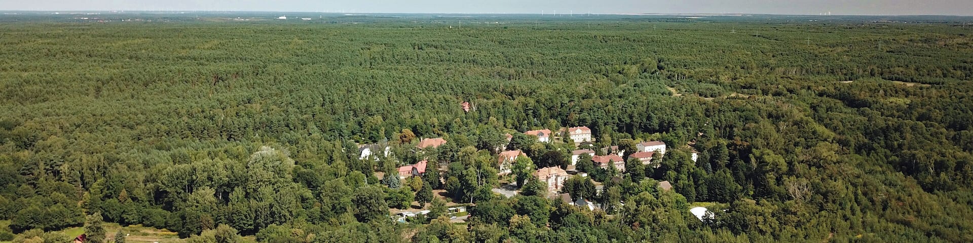 Zeißholz (Bernsdorf, Saxony, Germany)