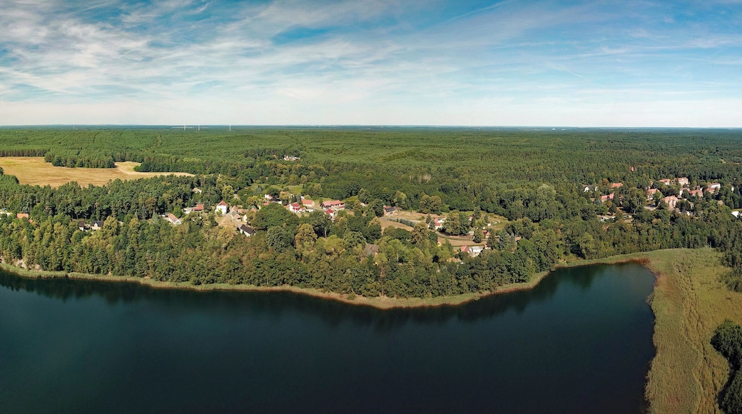 Zeißholz (Bernsdorf, Saxony, Germany)