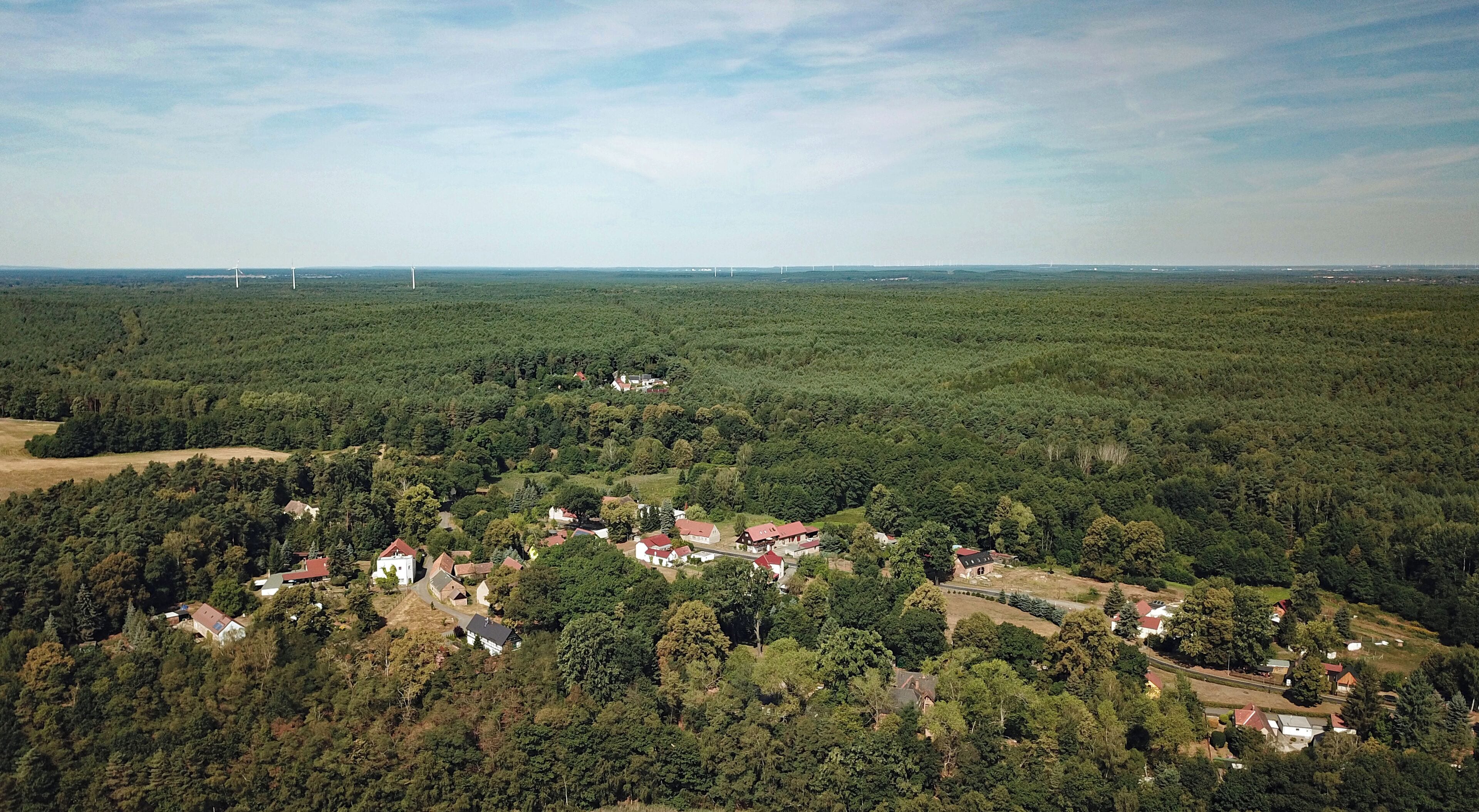 Zeißholz (Bernsdorf, Saxony, Germany)