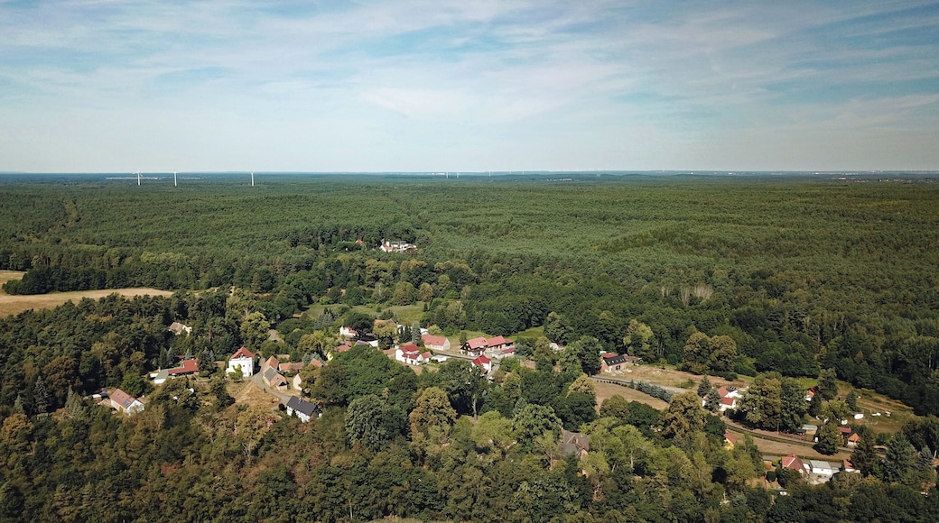 Zeißholz (Bernsdorf, Saxony, Germany)