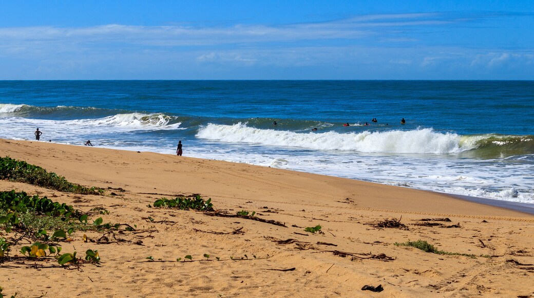 Plage de Farol de São Tomé