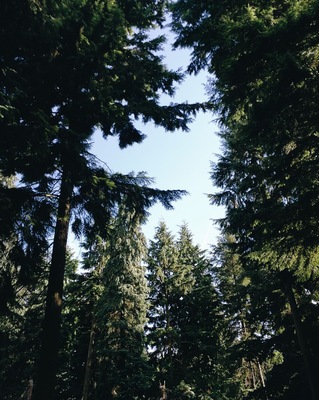 Beautiful spot in the vast lake and wild woods expanse in this region 🌲🌲🌲