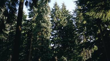 Beautiful spot in the vast lake and wild woods expanse in this region 🌲🌲🌲