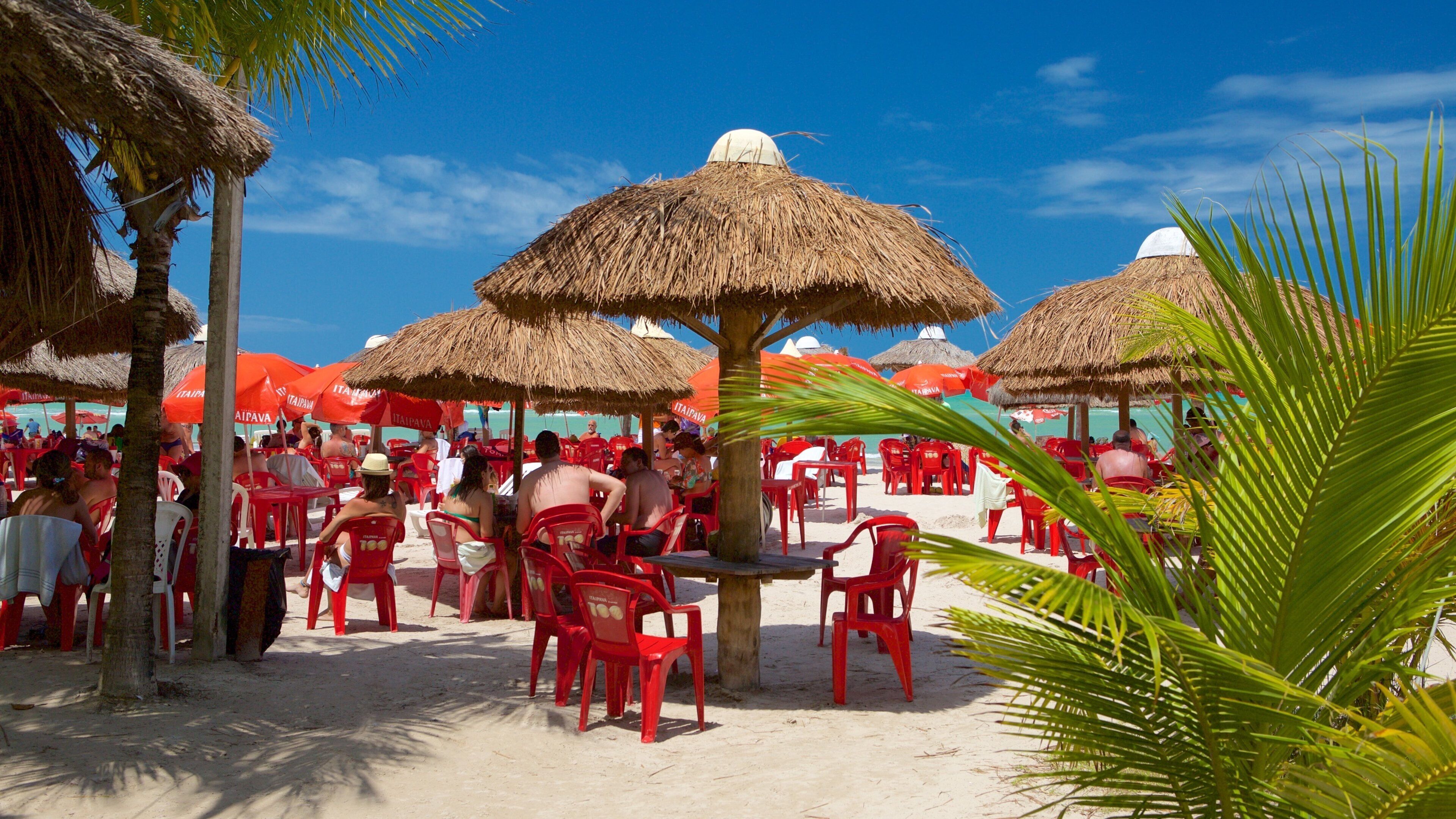 Paripueira Beach featuring outdoor eating, general coastal views and tropical scenes