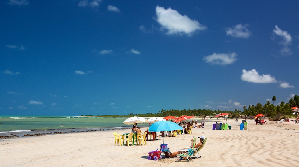 Paripueira Beach which includes a beach, tropical scenes and general coastal views