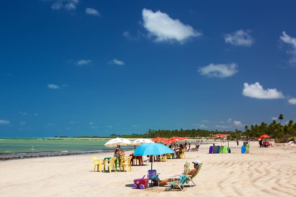 A beach with clear blue skies, sandy shore, and palm trees.