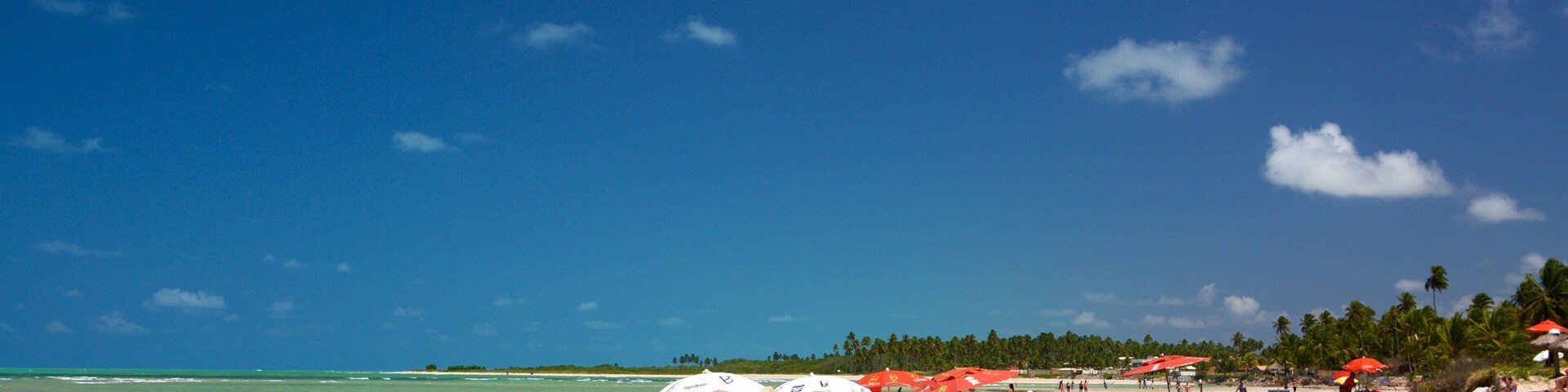 Paripueira Beach which includes a beach, tropical scenes and general coastal views