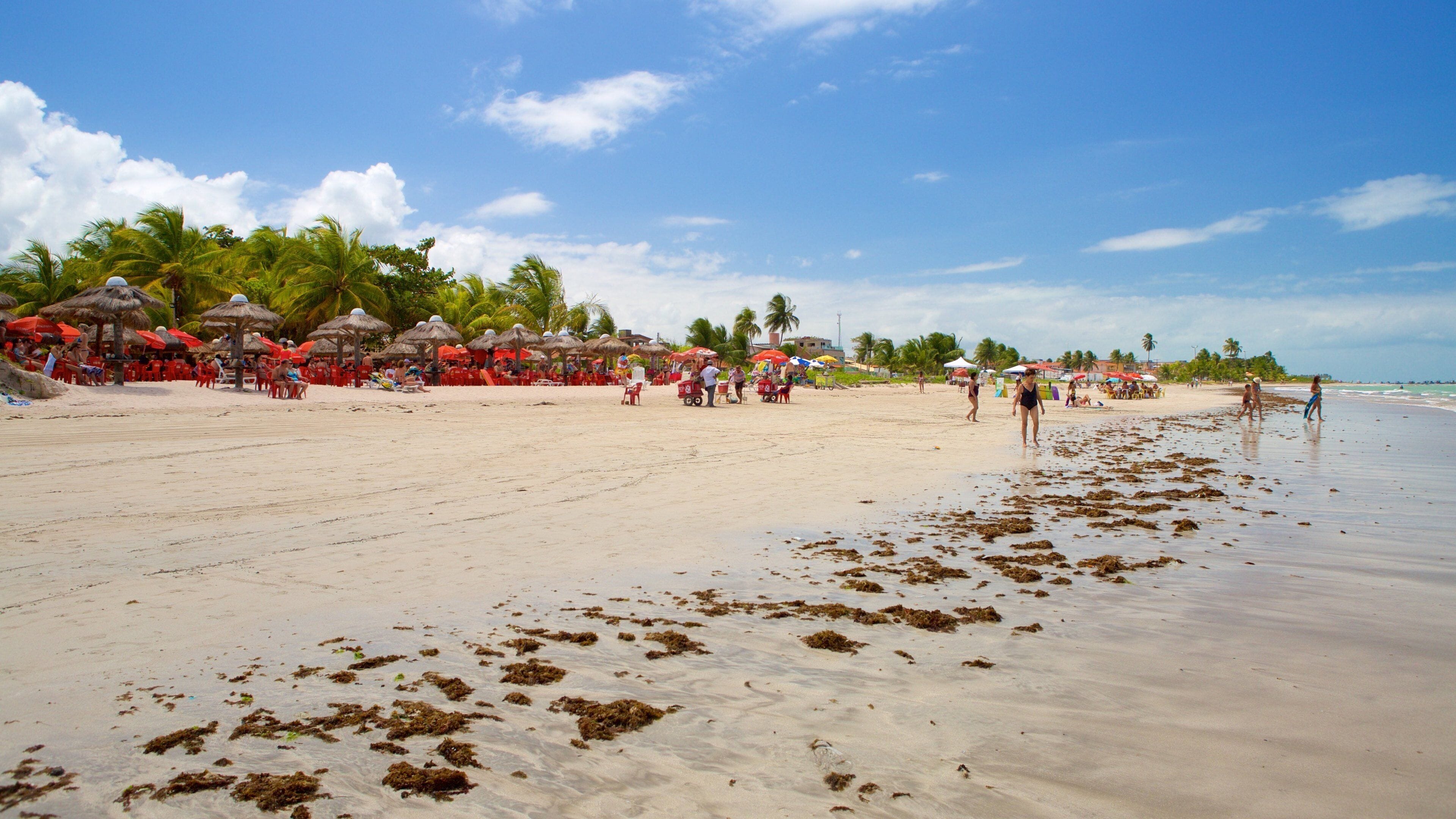 Paripueira Beach which includes tropical scenes, general coastal views and a beach