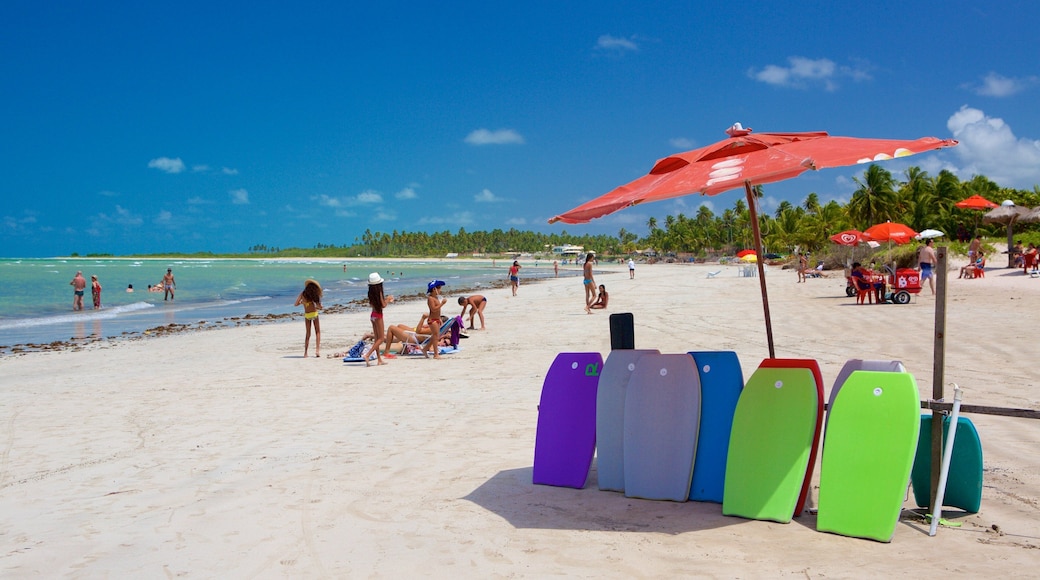 หาด Paripueira แสดง กีฬาทางน้ำ, ชายฝั่งทะเล และ ชายหาด