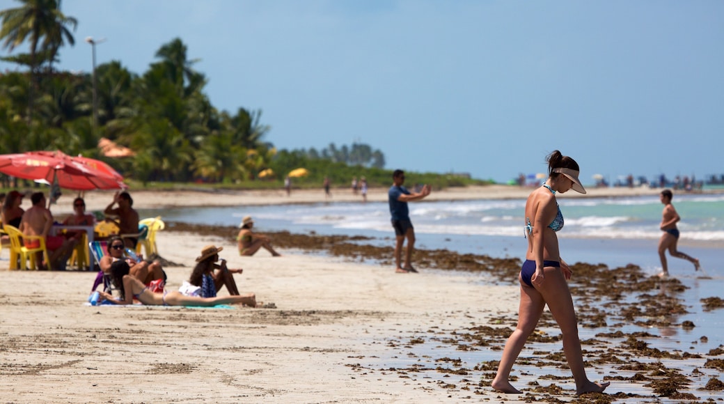 Playa Paripueira mostrando vistas generales de la costa, escenas tropicales y una playa