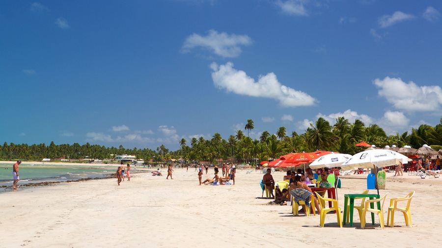 Paripueira Beach showing tropical scenes, general coastal views and a beach