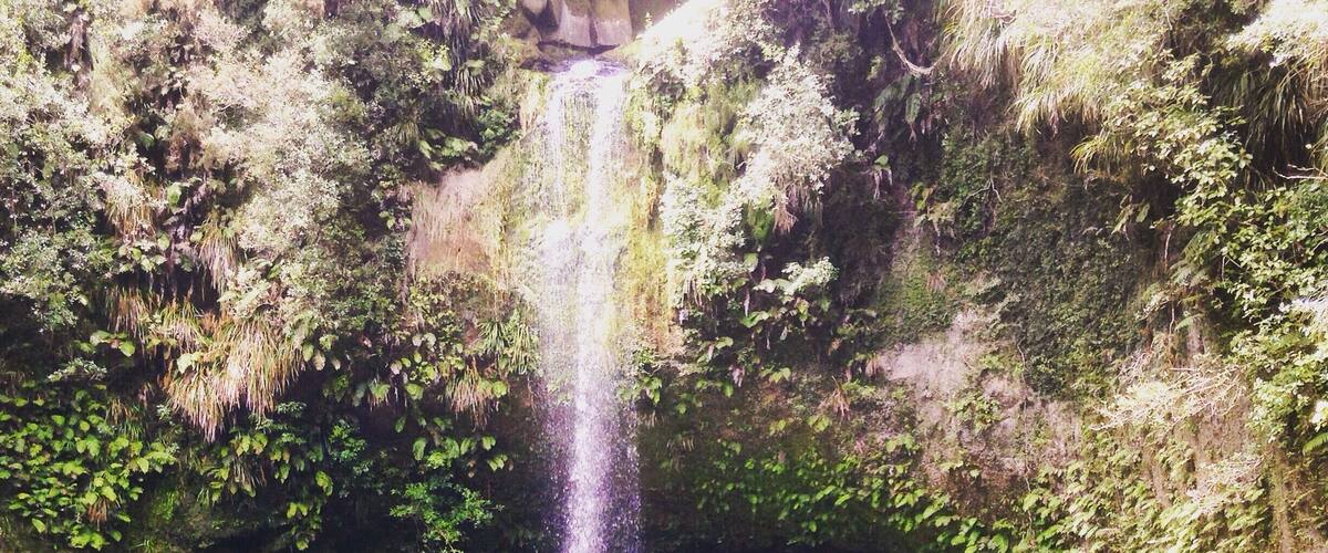 A waterfall cascading into a clear blue pool surrounded by lush greenery.