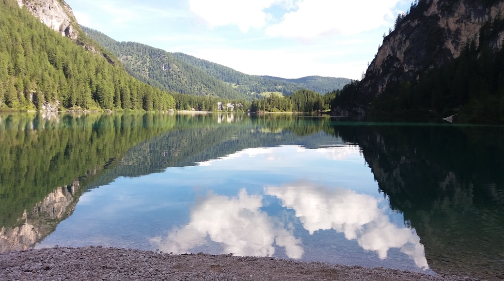 Parco naturale Fanes - Sennes - Braies (Q740279)