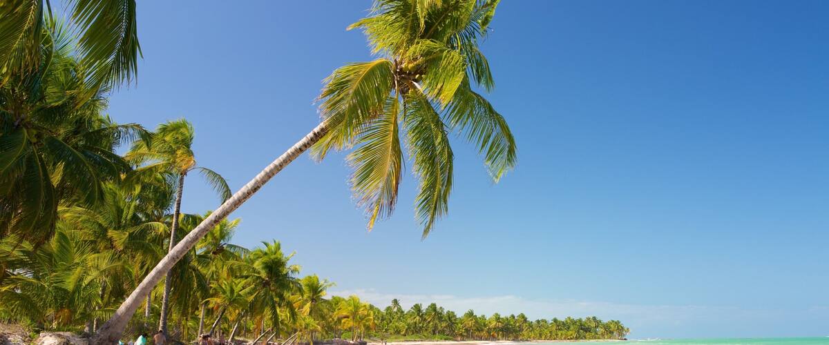 Ipioca Strand welches beinhaltet allgemeine Küstenansicht, Brandung und tropische Szenerien