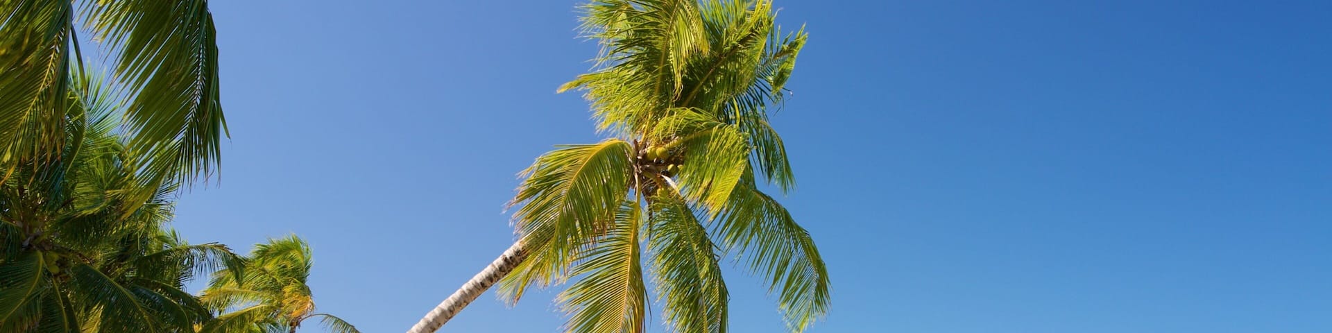 Ipioca Beach caratteristiche di paesaggio tropicale, vista della costa e spiaggia sabbiosa