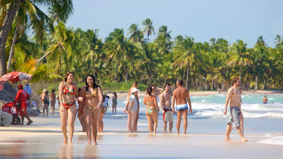 Maceio showing tropical scenes, a sandy beach and general coastal views