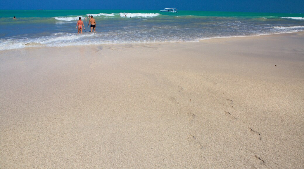 Playa Ipioca mostrando surf, natación y una playa de arena