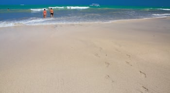 Maceio which includes waves, a sandy beach and general coastal views