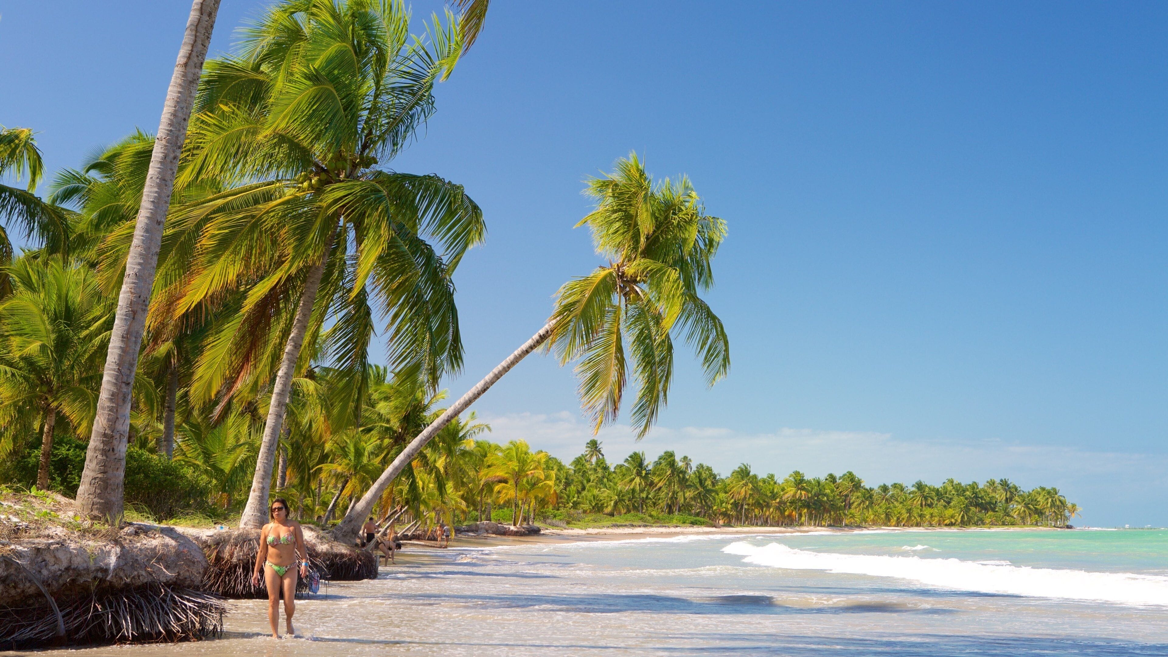 Ipioca Beach showing a beach, general coastal views and tropical scenes