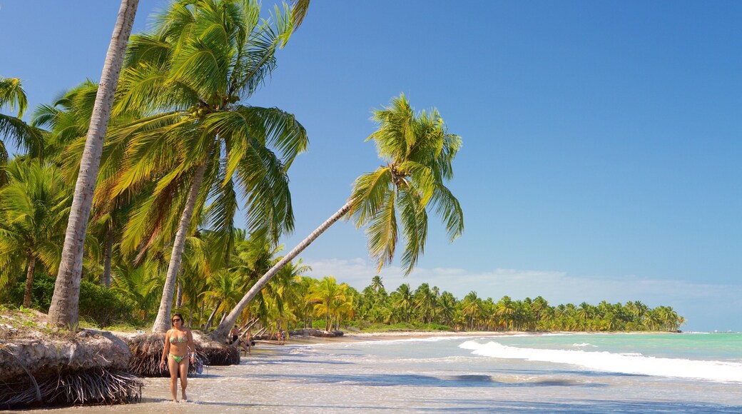 Playa Ipioca que incluye escenas tropicales, vista general a la costa y una playa