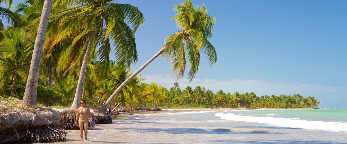 馬瑟歐 呈现出 熱帶景觀, 沙灘 和 一般的海岸景觀