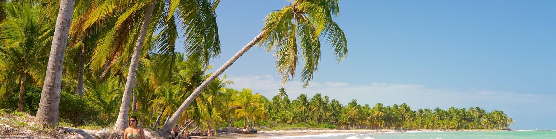 Maceio which includes tropical scenes, a sandy beach and general coastal views