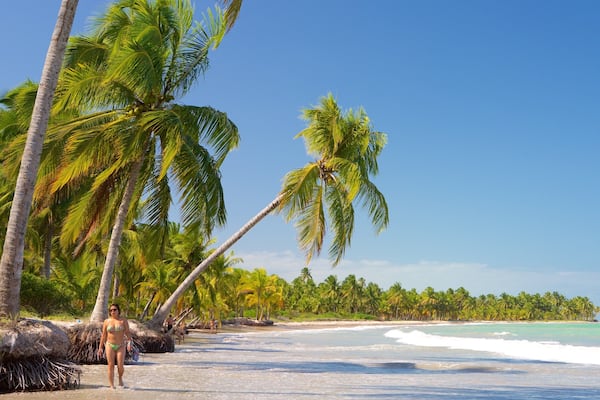 Maceio which includes tropical scenes, a sandy beach and general coastal views