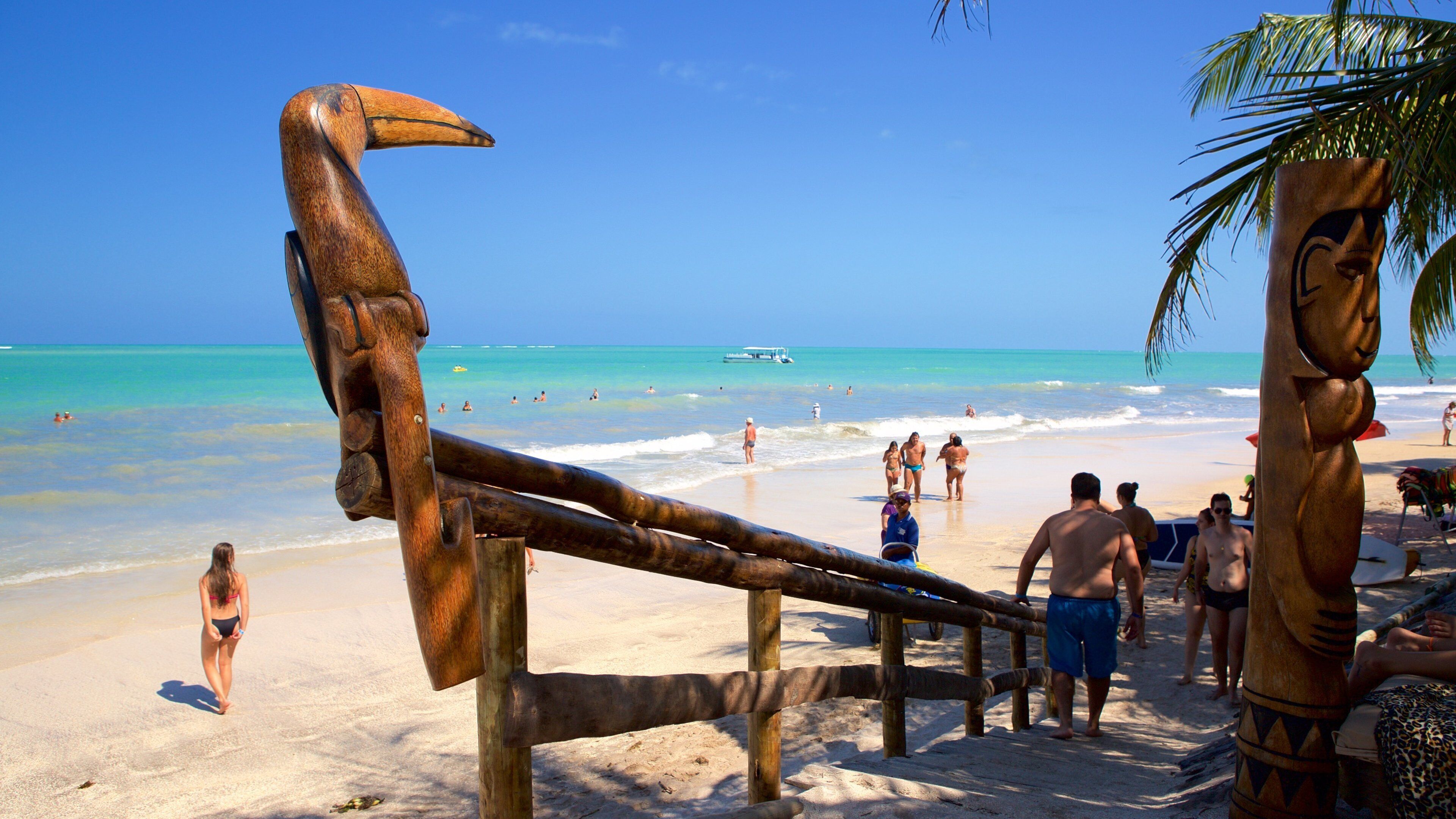 Maceio which includes tropical scenes, a sandy beach and swimming