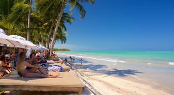 Maceio showing a luxury hotel or resort, a beach and tropical scenes