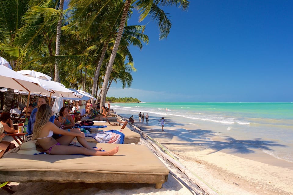 A beach with palm trees, people relaxing on lounge chairs, and the ocean.