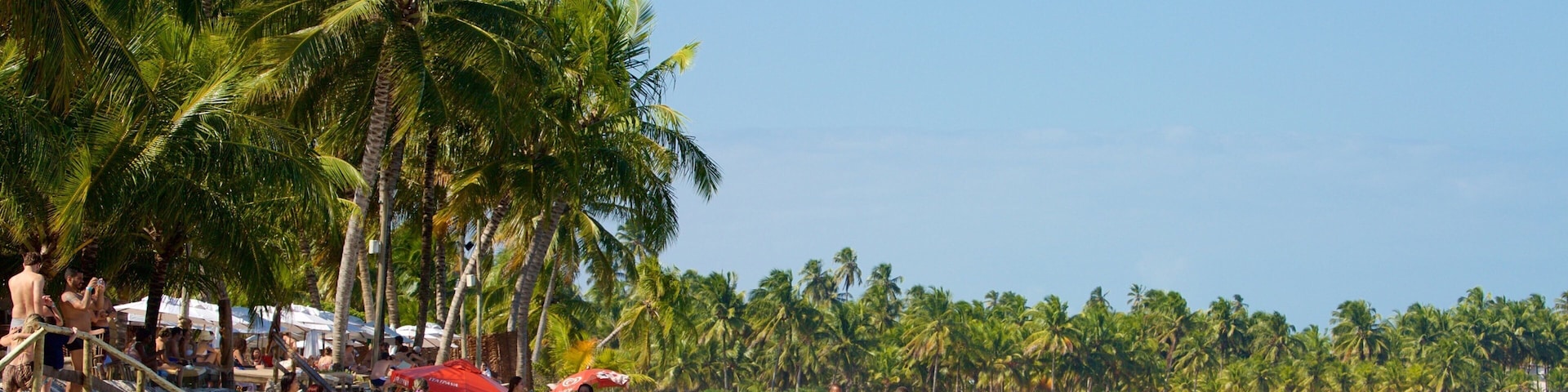 Maceio showing a beach, general coastal views and tropical scenes