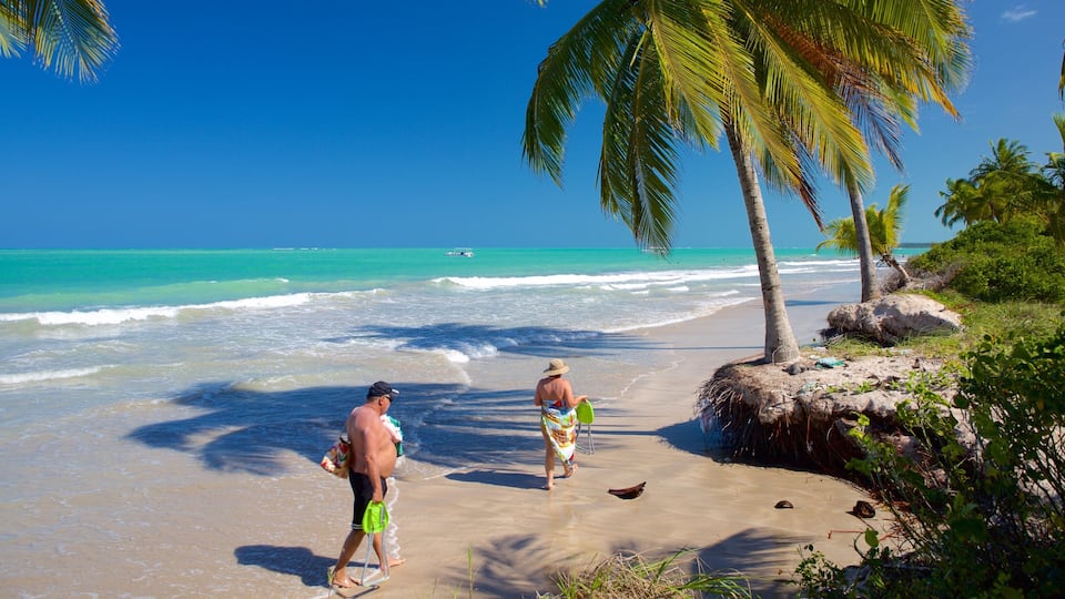 Maceio which includes swimming, tropical scenes and general coastal views