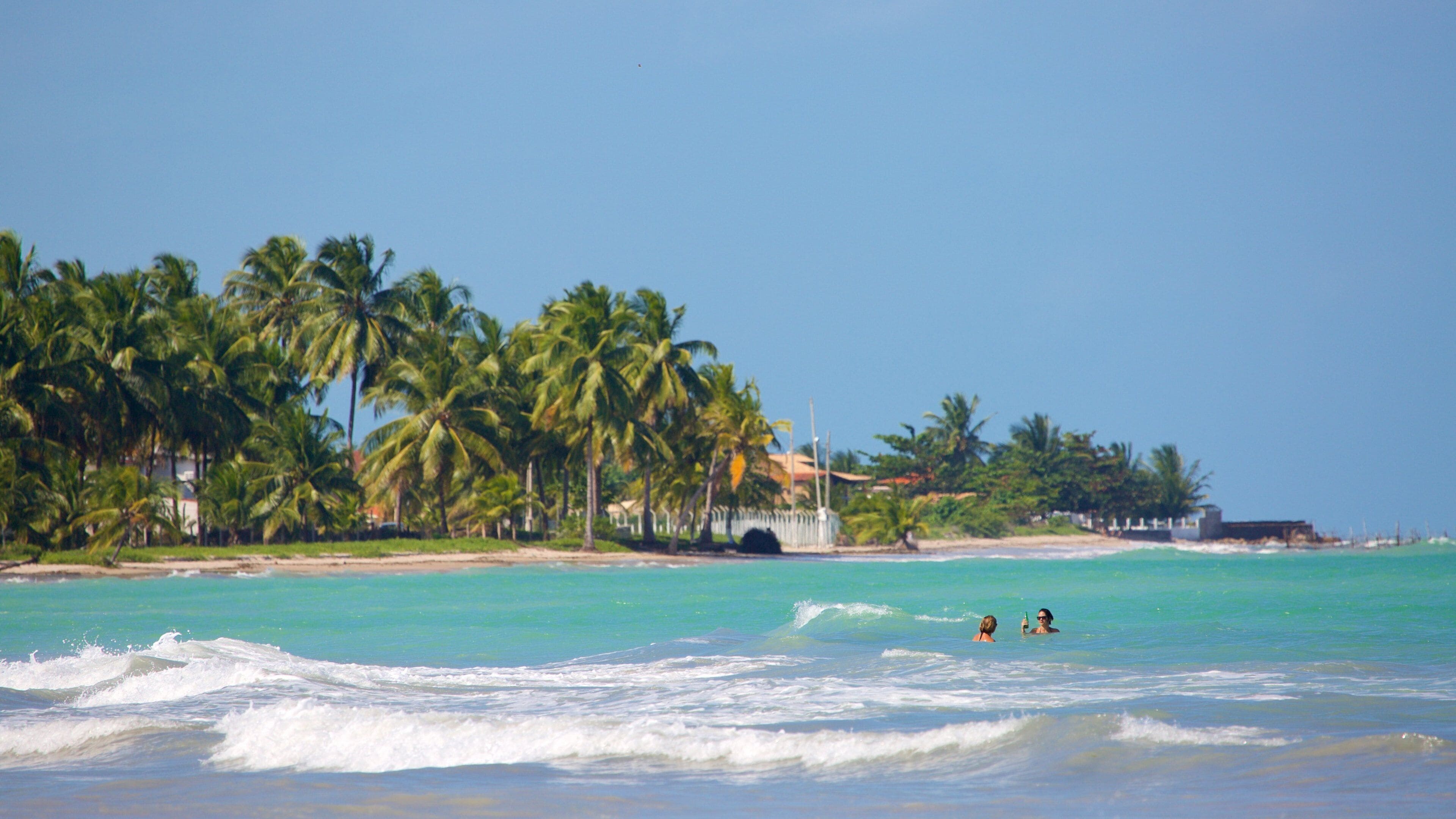 Ipioca Beach featuring waves, tropical scenes and swimming